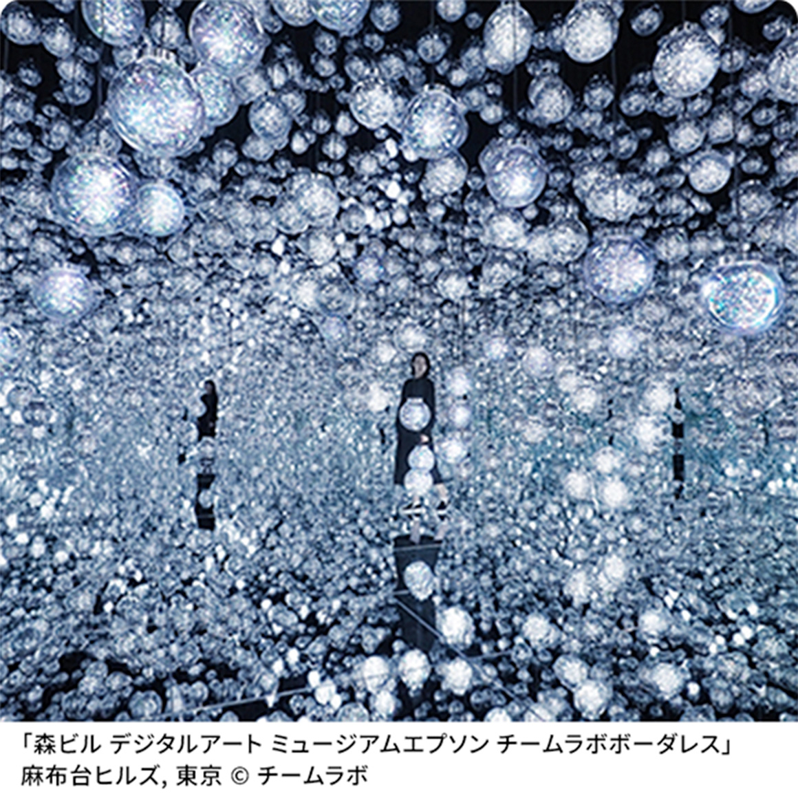 森ビル デジタルアート ミュージアム：エプソン チームラボボーダレス | MORI Building DIGITAL ART MUSEUM: EPSON teamLab Borderless | 麻布台ヒルズ | Azabudai Hills