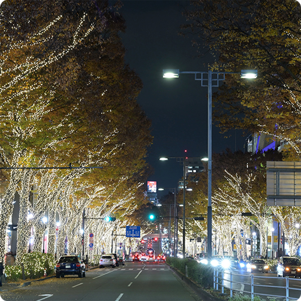 表参道ヒルズ イルミネーション | OMOTESANDO HILLS CHRISTMAS Illumination