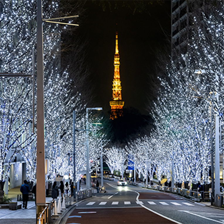 六本木ヒルズ けやき坂イルミネーション | ROPPONGI HILLS Keyakizaka Illumination