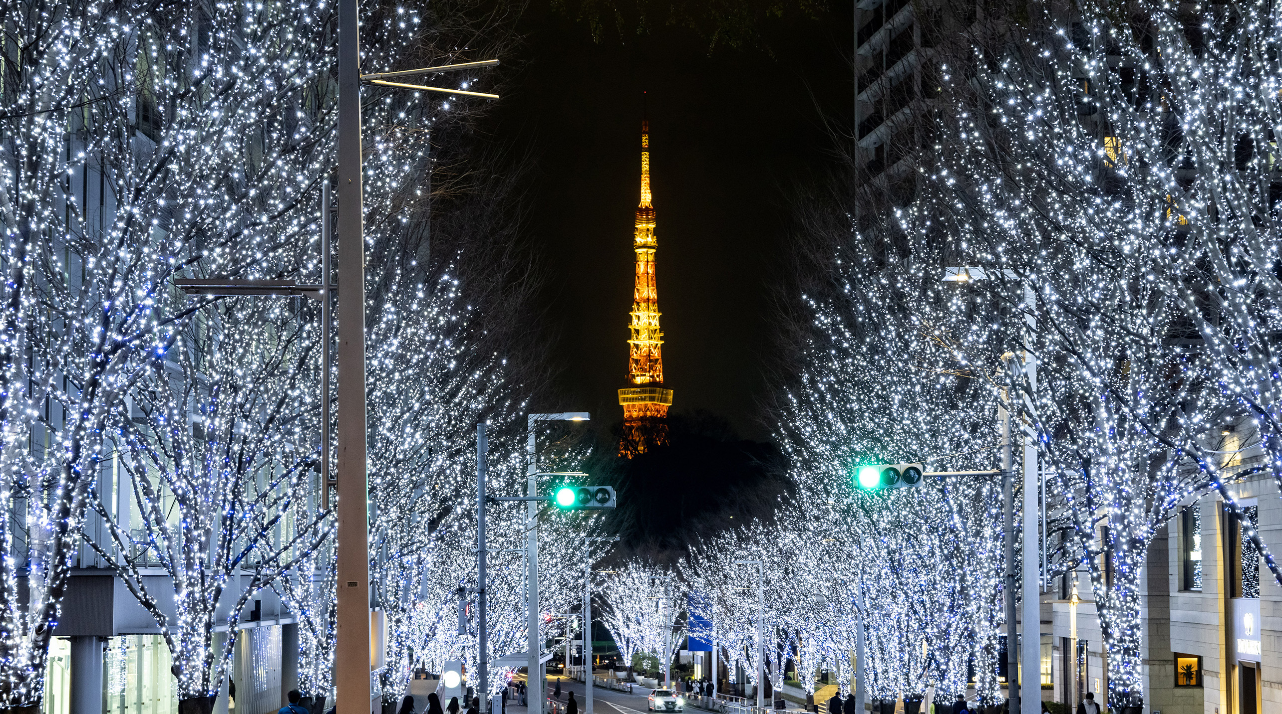 六本木ヒルズ けやき坂イルミネーション | ROPPONGI HILLS Keyakizaka Illumination