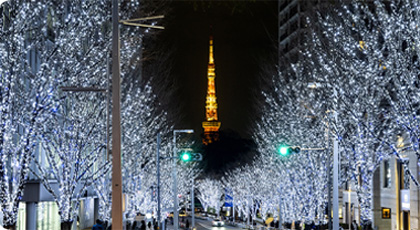 六本木ヒルズ roppongi hills